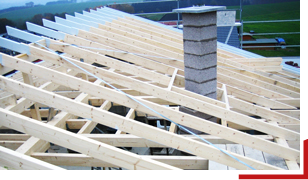 Link zum Thema Holzbau